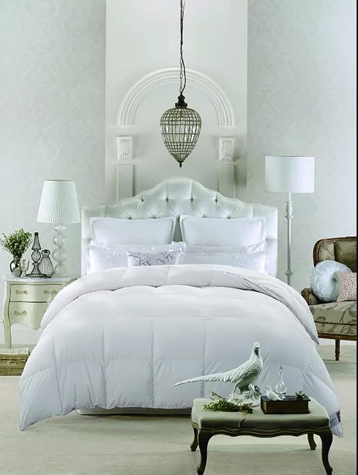 ƷZq˜ʳ_쿴Iı_˛]