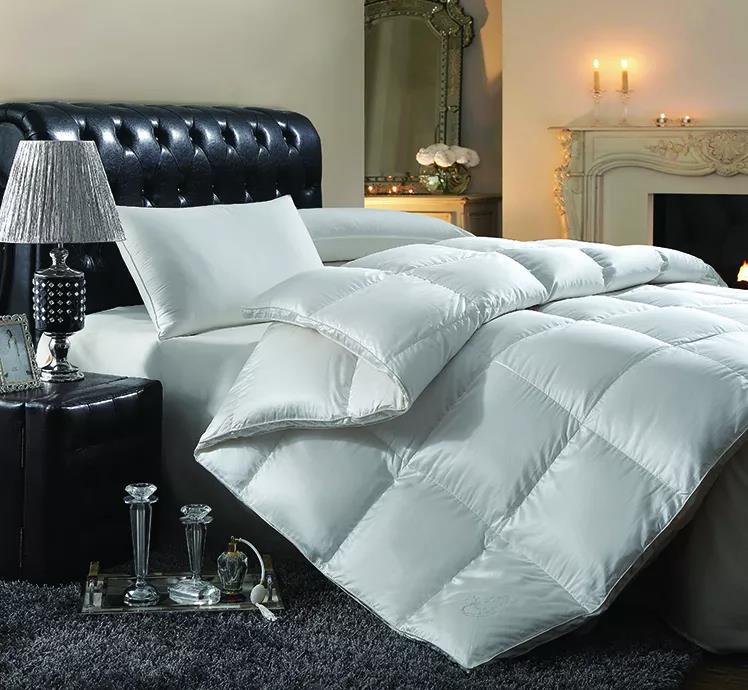 ƷZq˜ʳ_쿴Iı_˛]