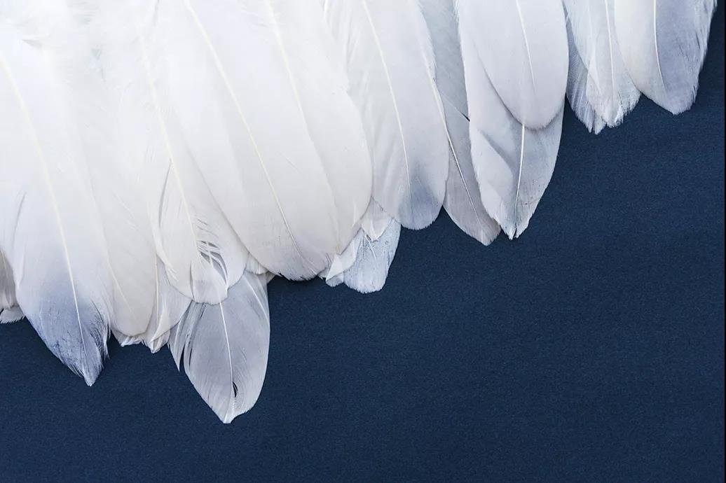 ƷZq˜ʳ_쿴Iı_˛]