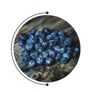 ̫(yng)ƳƷ--2020֮(jng)䡰{(ln)ϵ