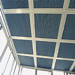 ɶꖹⷿڹ䳲늄(dng)䳲