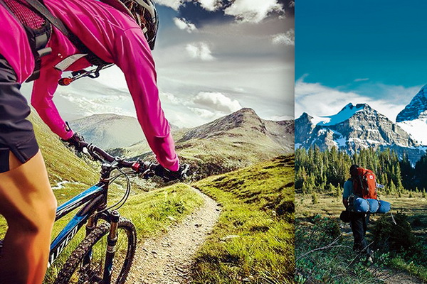 wSƳɹܿ؜ر{(dio)ʲôWأ