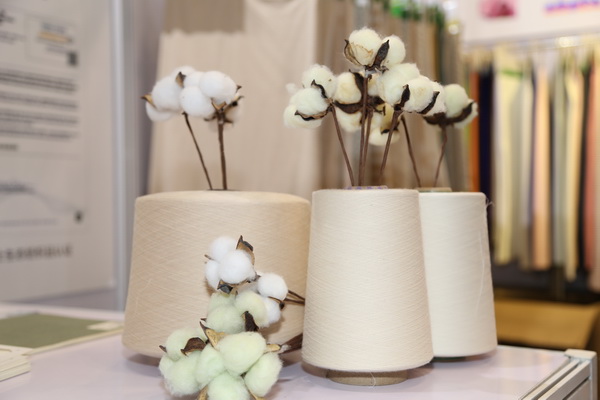 չ(ni)HЈИI(y)a(chn)I(y)2022ЇBd򴺼(hu)Ļ